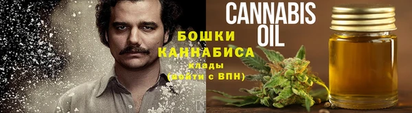 индика Балабаново