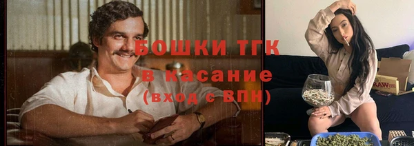 соль ск Белокуриха