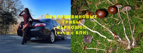 эйфоретик Беломорск