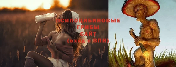 соль ск Белокуриха