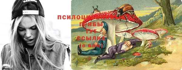 эйфоретик Беломорск